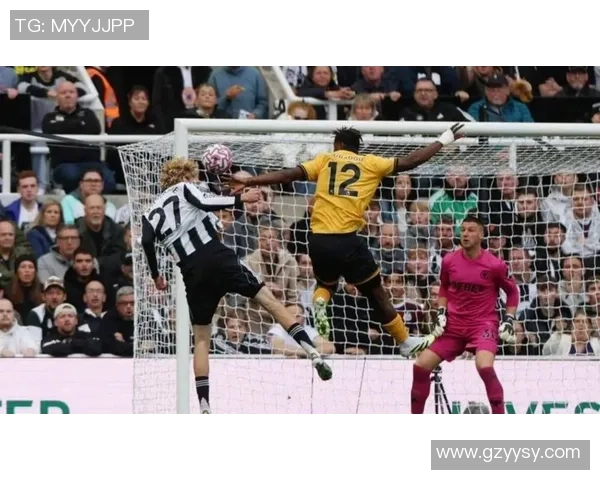 布赖顿主场迎战纽卡斯尔联双方争夺英超积分宝贵战机